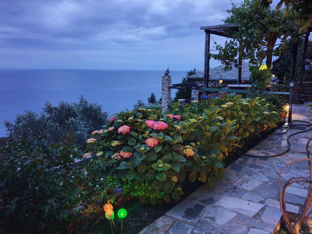 Analipsi Sea View Hommes Zagora Exterior foto